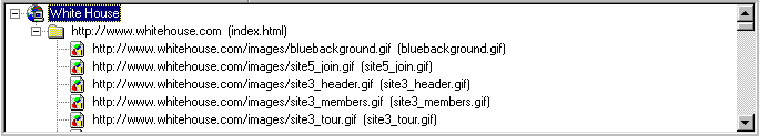 resultswindow.gif (5430 bytes)